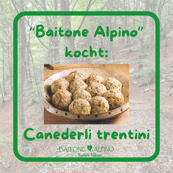 BaitoneAlpino kocht: Canederli Trentini
